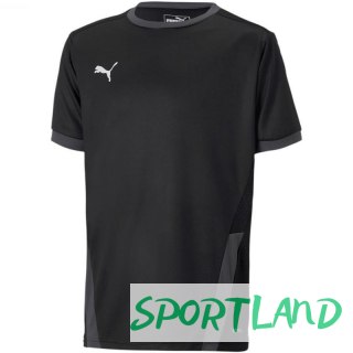 Koszulka Puma teamGOAL 23 Jersey Jr 704160 03 140cm
