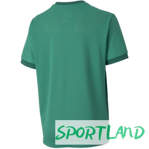 Koszulka Puma teamGOAL 23 Jersey Jr 704160 05 164cm