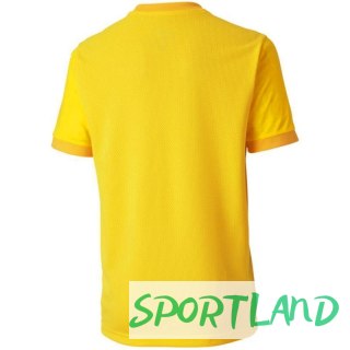 Koszulka Puma teamGOAL 23 Jersey Jr 704160 07 164cm