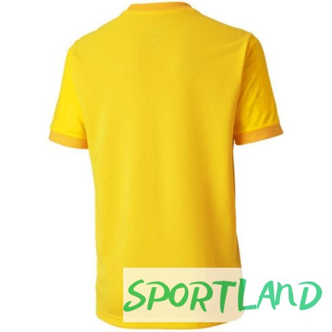 Koszulka Puma teamGOAL 23 Jersey Jr 704160 07 164cm Koszulka Puma teamGOAL 23 Jersey Jr 704160 07 164cm