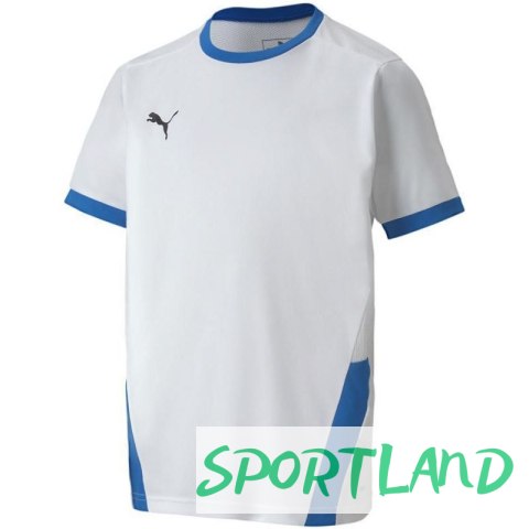 Koszulka Puma teamGOAL 23 Jersey Jr 704160 12 152cm Koszulka Puma teamGOAL 23 Jersey Jr 704160 12 152cm