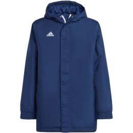 Kurtka adidas Entrada 22 Stadium Jr IB6079 164cm