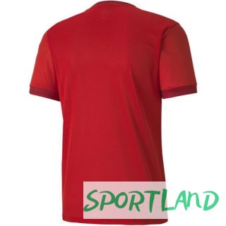 Koszulka Puma teamGOAL 23 Jersey M 704171 01 S