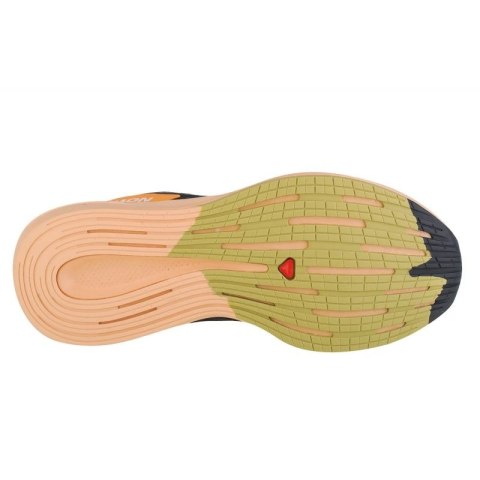 Buty do biegania Salomon Spectur W 415893 38 2/3 Buty do biegania Salomon Spectur W 415893 38 2/3