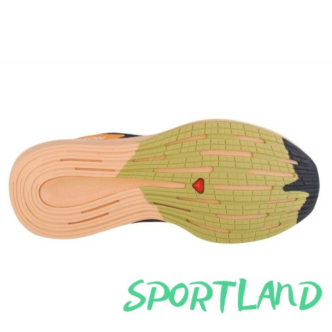 Buty do biegania Salomon Spectur W 415893 39 1/3 Buty do biegania Salomon Spectur W 415893 39 1/3