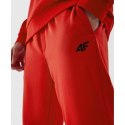 Spodnie 4F CAS M451 M 4FAW23TTROM451-62S XL