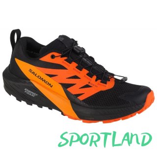 Buty do biegania Salomon Sense Ride 5 GTX M 471473 42 2/3