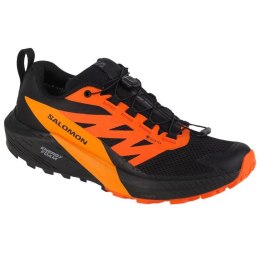 Buty do biegania Salomon Sense Ride 5 GTX M 471473 43 1/3