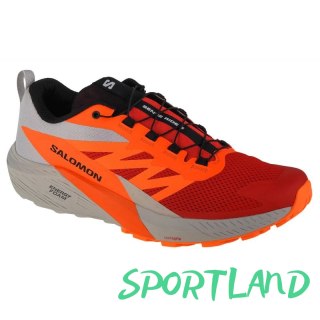 Buty do biegania Salomon Sense Ride 5 M 470462 46