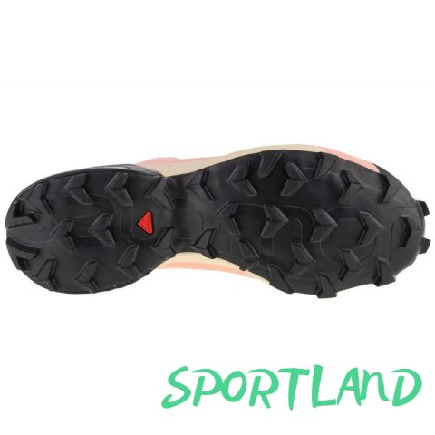 Buty do biegania Salomon Speedcross 5 W 416099 40 2/3