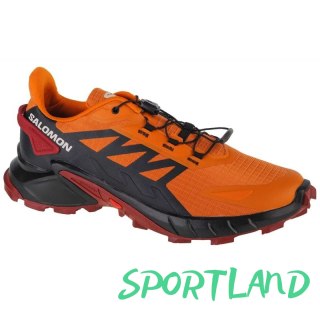 Buty do biegania Salomon Supercross 4 M 471193 44 2/3