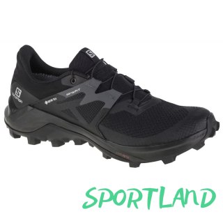 Buty do biegania Salomon Wildcross 2 GTX M 414554 40 2/3
