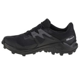 Buty do biegania Salomon Wildcross 2 GTX M 414554 40 2/3