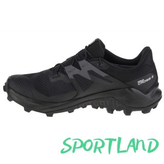 Buty do biegania Salomon Wildcross 2 GTX M 414554 40 2/3