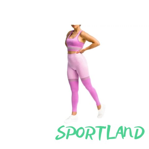 Legginsy GymHero Leggins Stripes W MAUVE M Legginsy GymHero Leggins Stripes W MAUVE M