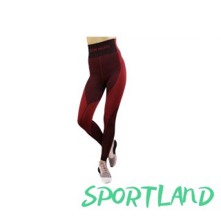 Legginsy GymHero Leggins W RUSTY S