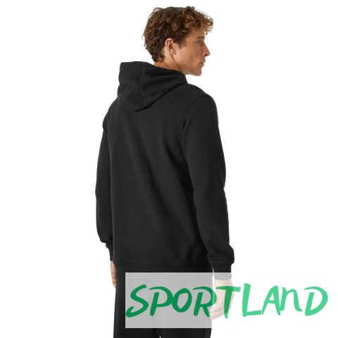 Bluza Helly Hansen Logo Hoodie M 33977-990 M Bluza Helly Hansen Logo Hoodie M 33977-990 M