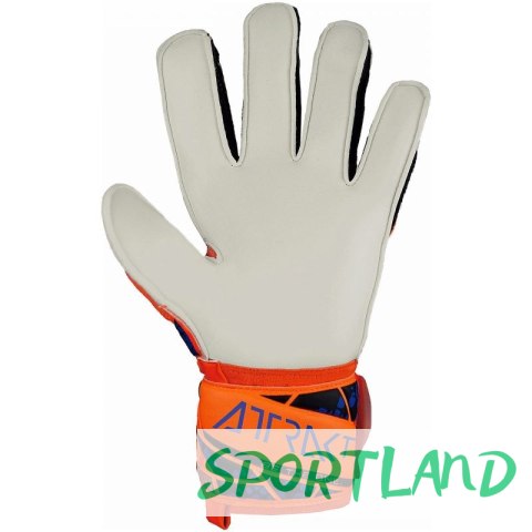 Rękawice bramkarskie Reusch Attrakt Solid M 5470515 2210 10,5 Rękawice bramkarskie Reusch Attrakt Solid M 5470515 2210 10,5