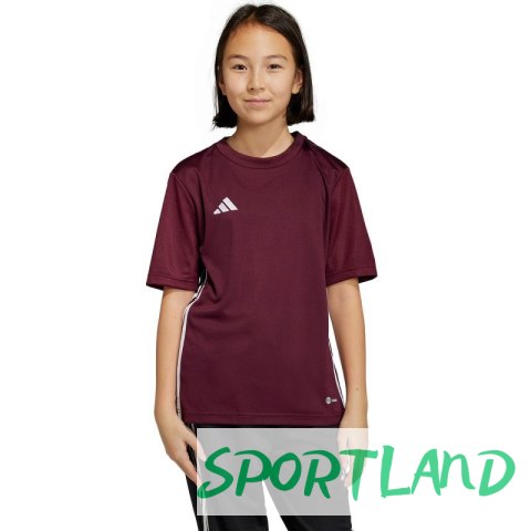 Koszulka adidas Tabela 23 Jersey Jr IB4933 116cm Koszulka adidas Tabela 23 Jersey Jr IB4933 116cm