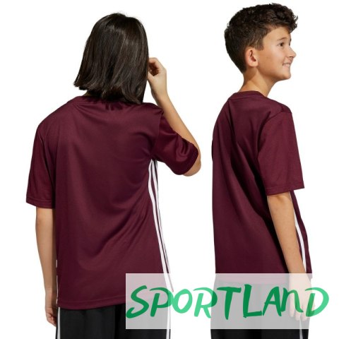 Koszulka adidas Tabela 23 Jersey Jr IB4933 128cm Koszulka adidas Tabela 23 Jersey Jr IB4933 128cm