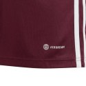 Koszulka adidas Tabela 23 Jersey Jr IB4933 176cm