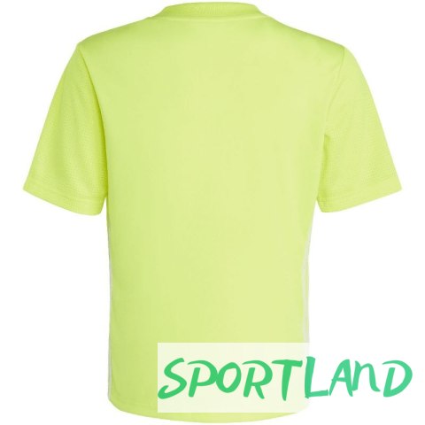Koszulka adidas Tabela 23 Jersey Jr IB4936 152cm Koszulka adidas Tabela 23 Jersey Jr IB4936 152cm