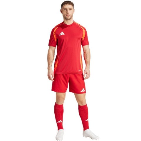 Spodenki adidas Tiro 24 Competition Training M IK2245 XL Spodenki adidas Tiro 24 Competition Training M IK2245 XL