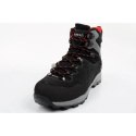 Buty trekkingowe Aku Alterra II GTX M 430353 42