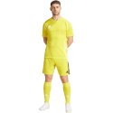 Spodenki adidas Tiro 24 M IS1409 L Spodenki adidas Tiro 24 M IS1409 L