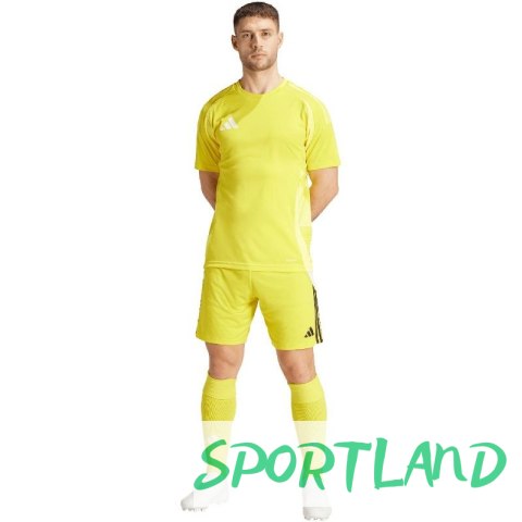 Spodenki adidas Tiro 24 M IS1409 M Spodenki adidas Tiro 24 M IS1409 M