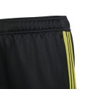 Spodnie adidas Tiro 23 Club Training Jr IC1587 152cm