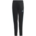 Spodnie adidas Tiro 23 Club Training Jr IC1588 152cm