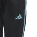 Spodnie adidas Tiro 23 Club Training Jr IC1588 152cm