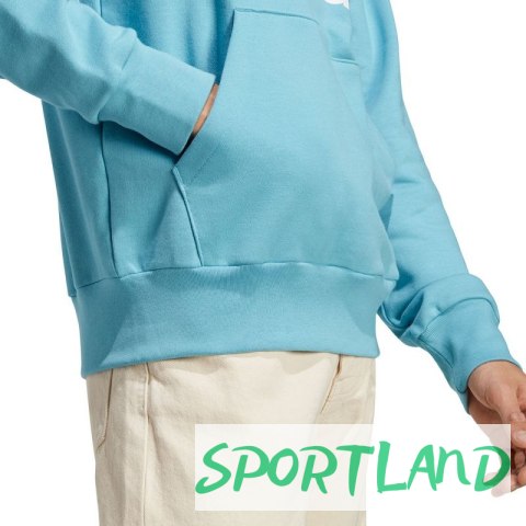 Bluza adidas Essentials French Terry Big Logo Hoodie M IC9367 M Bluza adidas Essentials French Terry Big Logo Hoodie M IC9367 M