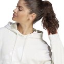Bluza adidas Essentials Big Logo Regular Fleece W IM0252 L