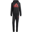 Dres adidas Big Logo Terry Track Suit M IP5553 M
