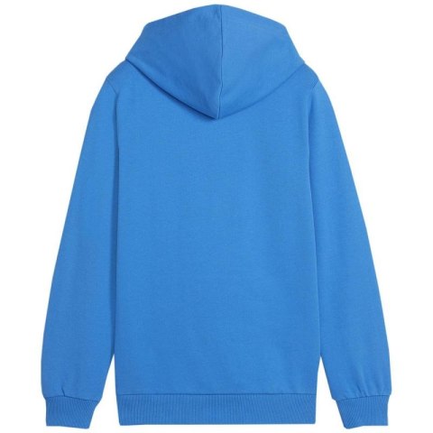Bluza Puma Team Goal Casuals Hoddy Jr 658619 02 128cm Bluza Puma Team Goal Casuals Hoddy Jr 658619 02 128cm