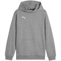 Bluza Puma Team Goal Casuals Hoddy Jr 658619 33 152cm