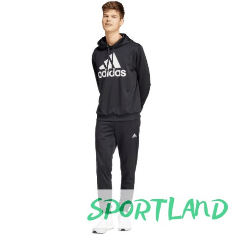 Dres adidas Terry Hooded Tracksuit M IP1610 M Dres adidas Terry Hooded Tracksuit M IP1610 M