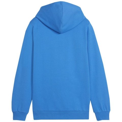 Bluza Puma Team Goal Casuals Hoddy Jr 658619 02 128cm Bluza Puma Team Goal Casuals Hoddy Jr 658619 02 128cm