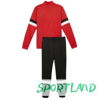 Dres Puma Team Rise M 658653 01 M