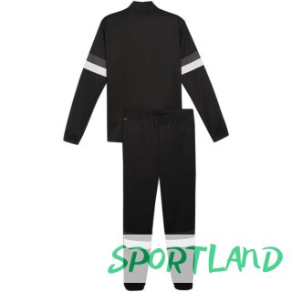 Dres Puma Team Rise M 658653 03 L