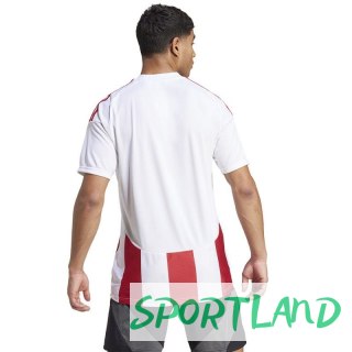 Koszulka adidas Striped 24 JSY M IW2142 2XL