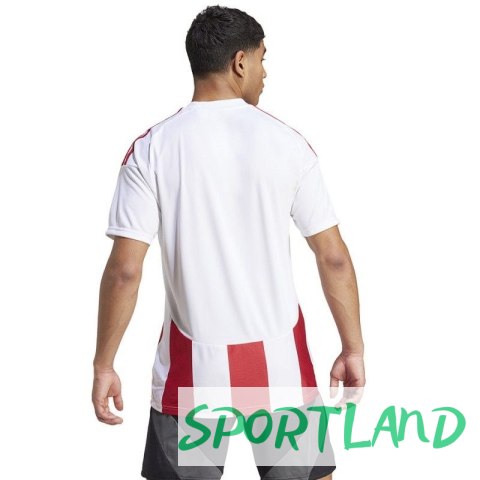 Koszulka adidas Striped 24 JSY M IW2142 2XL Koszulka adidas Striped 24 JSY M IW2142 2XL