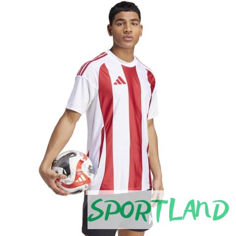 Koszulka adidas Striped 24 JSY M IW2142 L Koszulka adidas Striped 24 JSY M IW2142 L