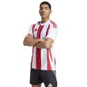 Koszulka adidas Striped 24 JSY M IW2142 M