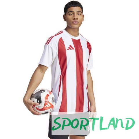 Koszulka adidas Striped 24 JSY M IW2142 S Koszulka adidas Striped 24 JSY M IW2142 S