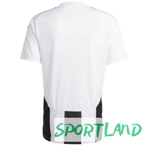 Koszulka adidas Striped 24 JSY M IW2143 M Koszulka adidas Striped 24 JSY M IW2143 M
