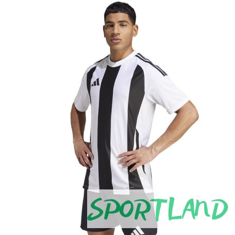 Koszulka adidas Striped 24 JSY M IW2143 M Koszulka adidas Striped 24 JSY M IW2143 M