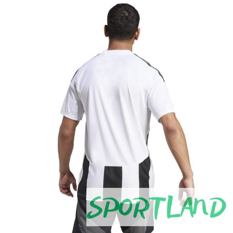 Koszulka adidas Striped 24 JSY M IW2143 M Koszulka adidas Striped 24 JSY M IW2143 M